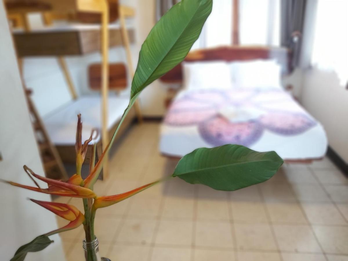 ホテル Casa Benjamin Linder マナグア エクステリア 写真
