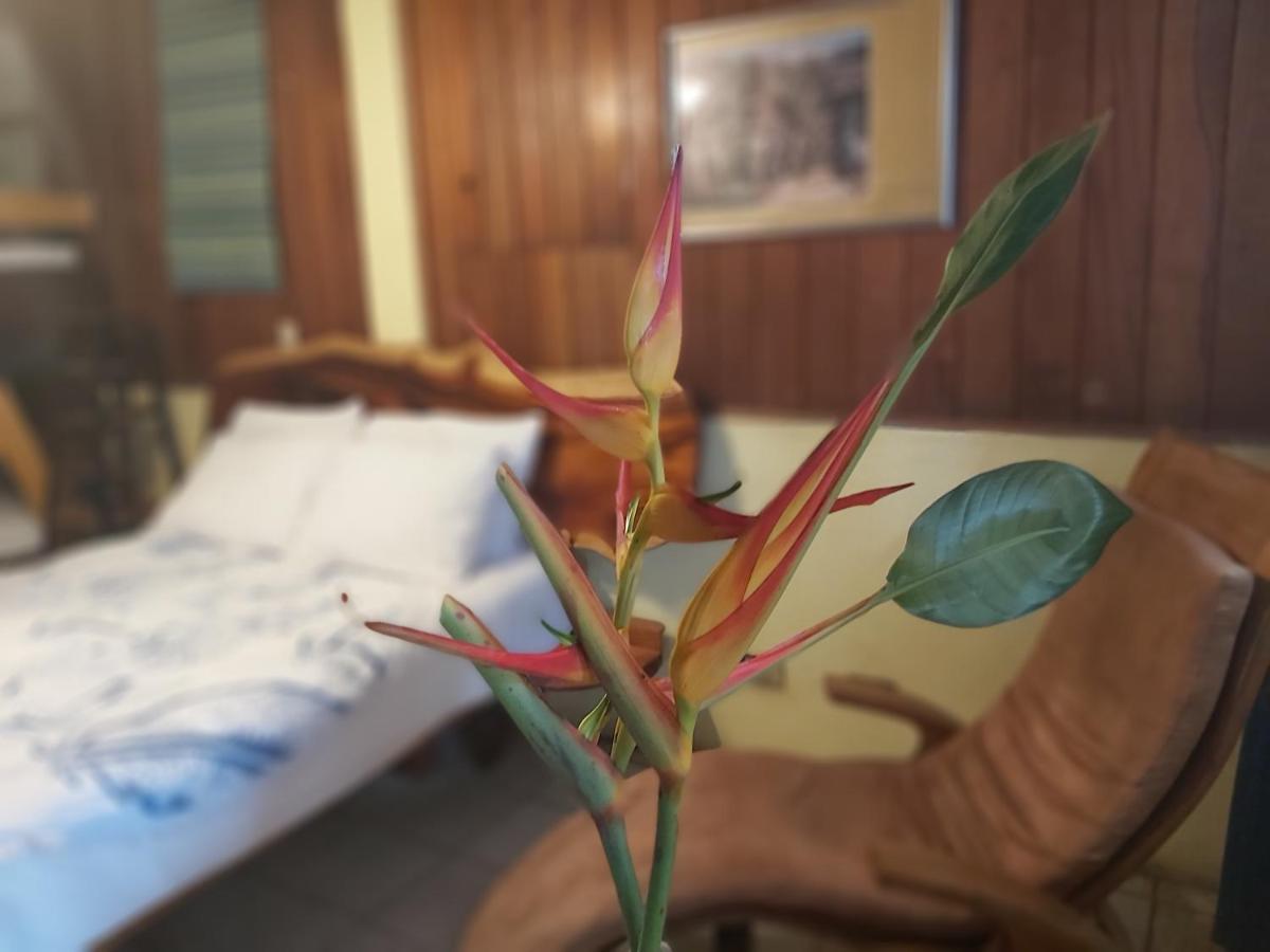 ホテル Casa Benjamin Linder マナグア エクステリア 写真